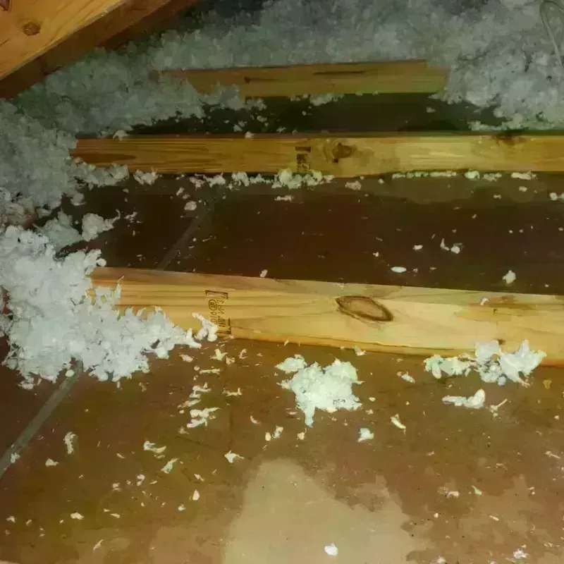 Attic Water Damage in Huntington Station, NY